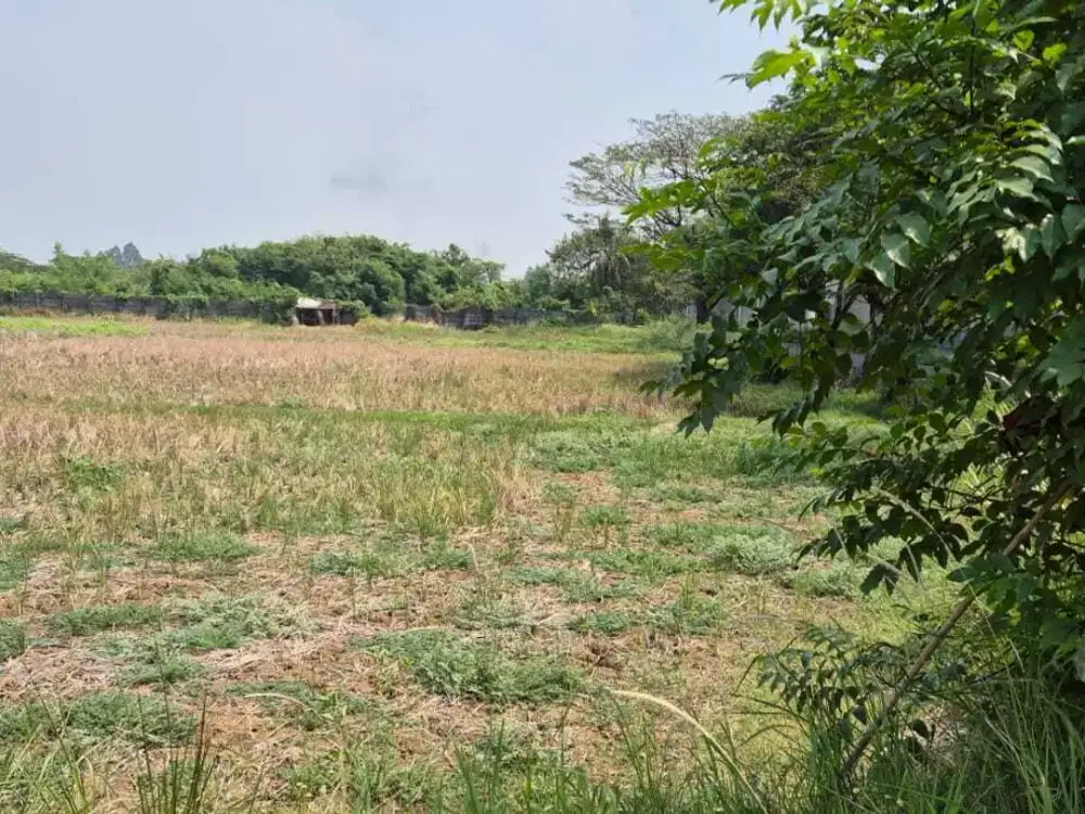 Tanah Siap Bangun Pinggir Jalan Raya Cikarang Dijual Cepat Aja!