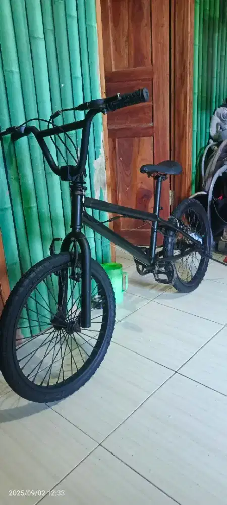 Bmx rotor ukuran 20 gaya buat anak