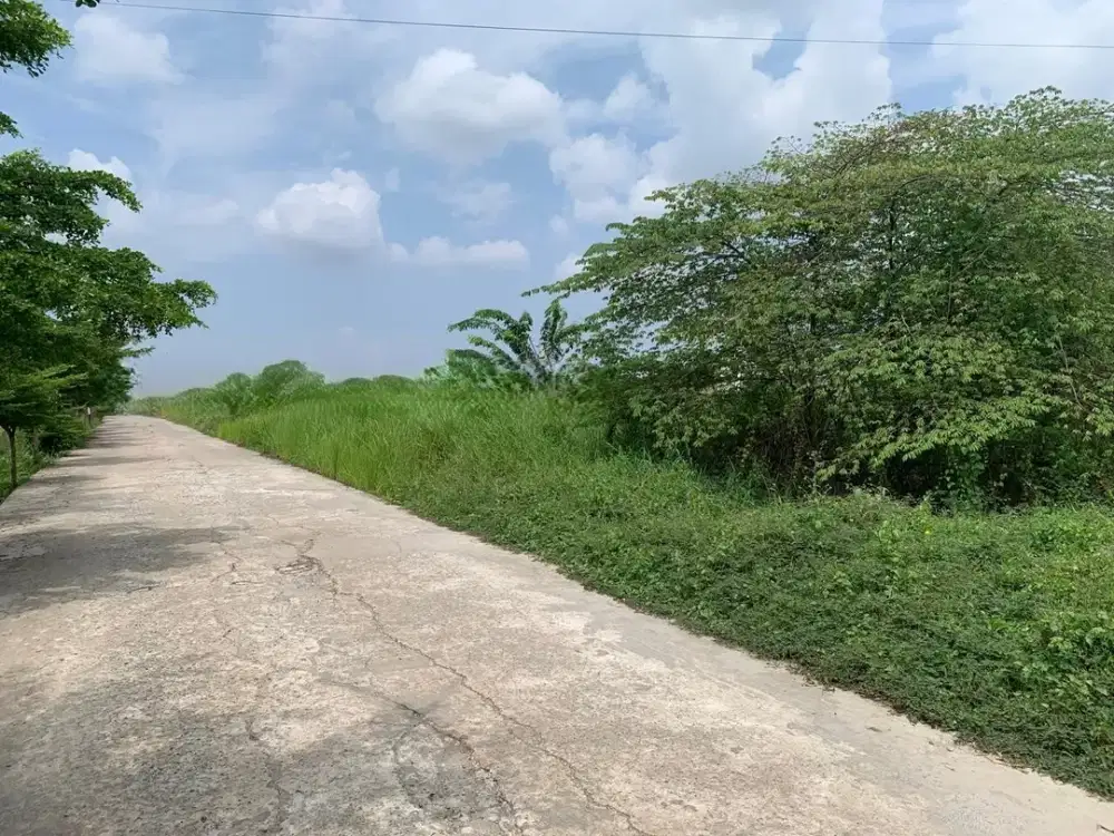 Tanah 2 ha di jual di Tanjung Barangan