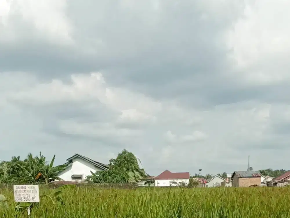 Tanah 1,9 ha dijual di Macan Lindungan