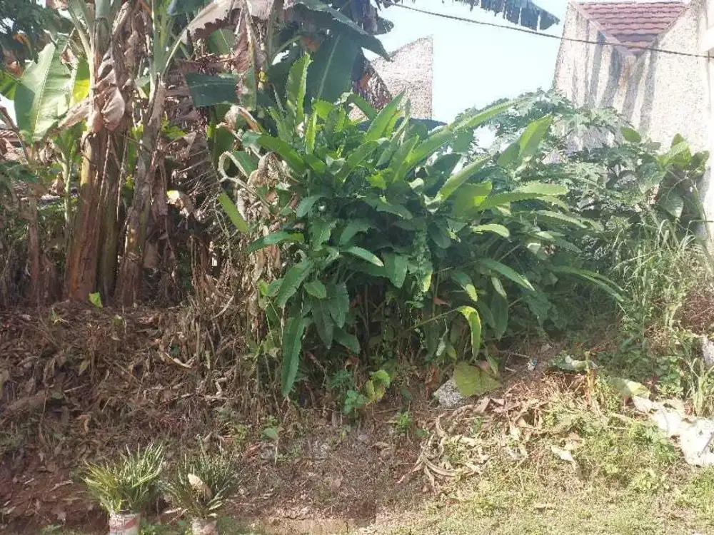 DI JUAL TANAH KAVLING DI GUNUNG SINDUR