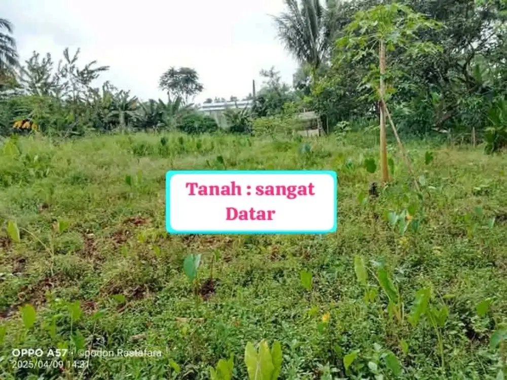 TANA MURAH TANAH KEBUN MURAH STRATEGIS DI DESA CANDALI BOGOR