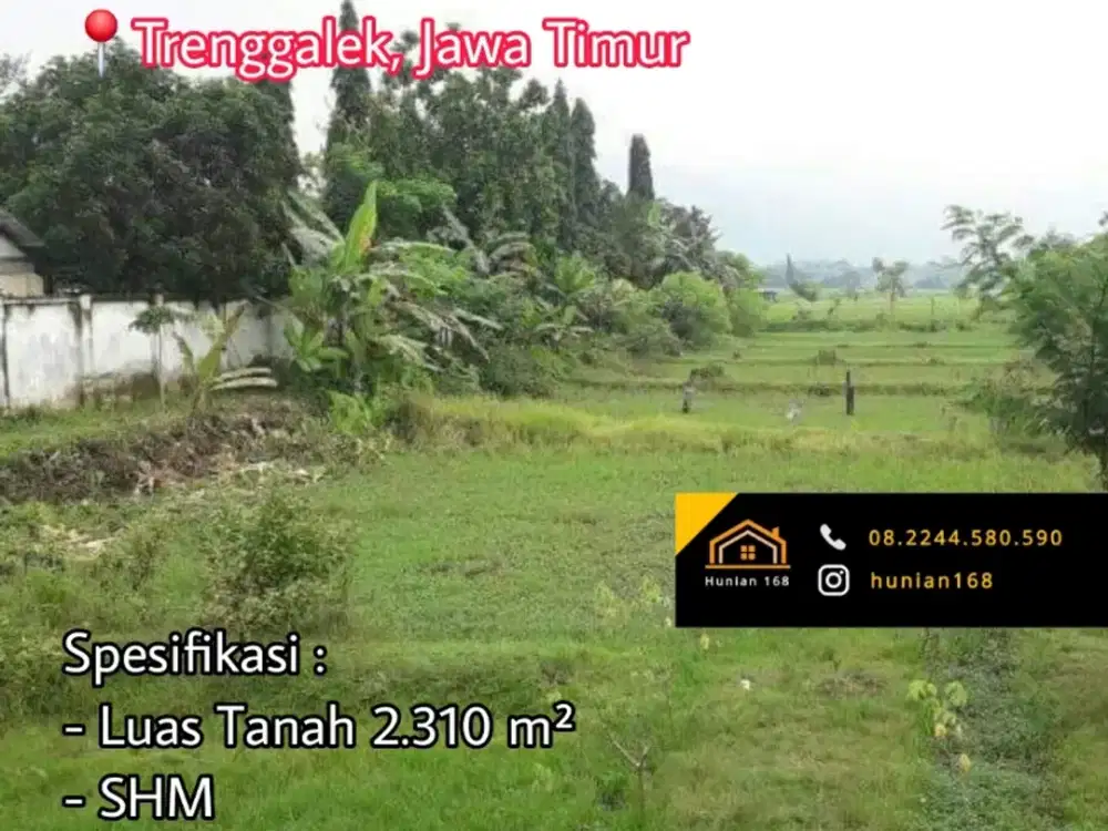 Tanah Kavling Rumah Gudang Ruko Toko Jalan Raya Propinsi Trenggalek