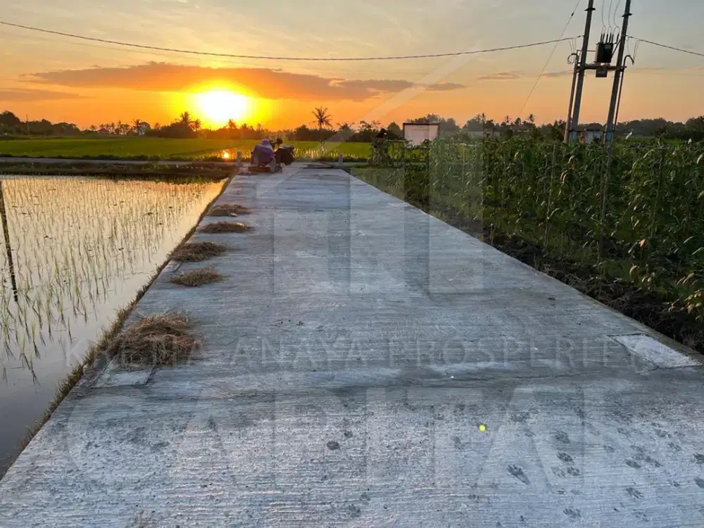 Tanah Premium View Sunset di Kedungu - Tabanan Bali