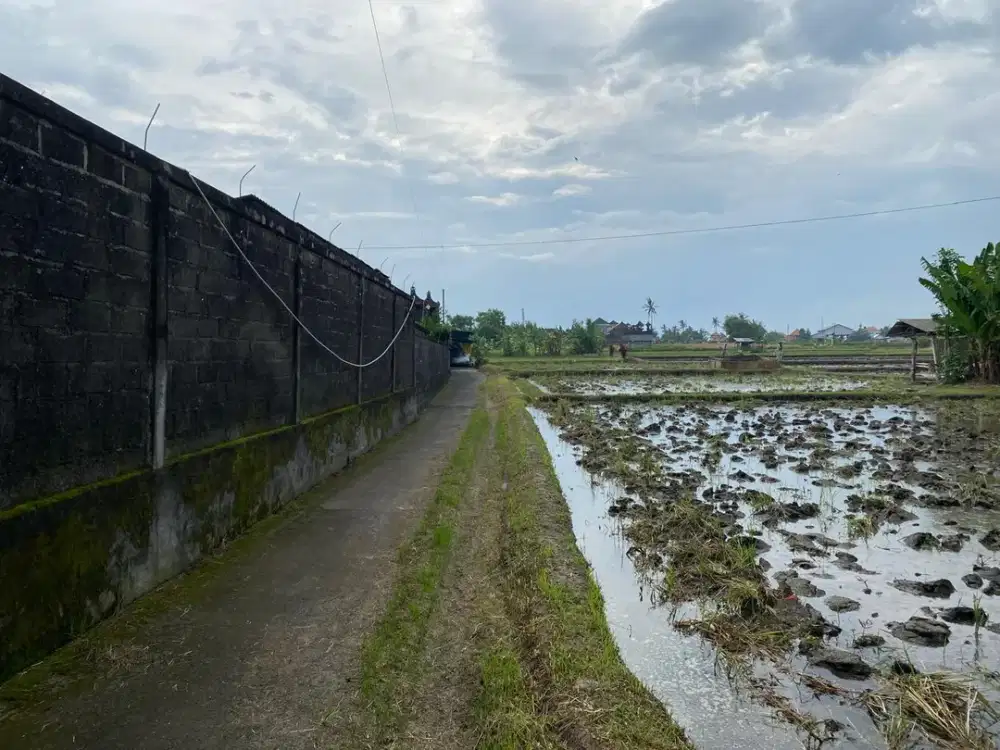 Tanah Dijual di Ketewel, Sukawati, Gianyar – Cocok untuk Villa