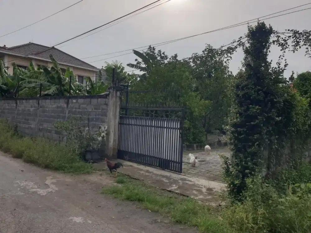 Jual tanah sekarsono tanah kota pasuruan