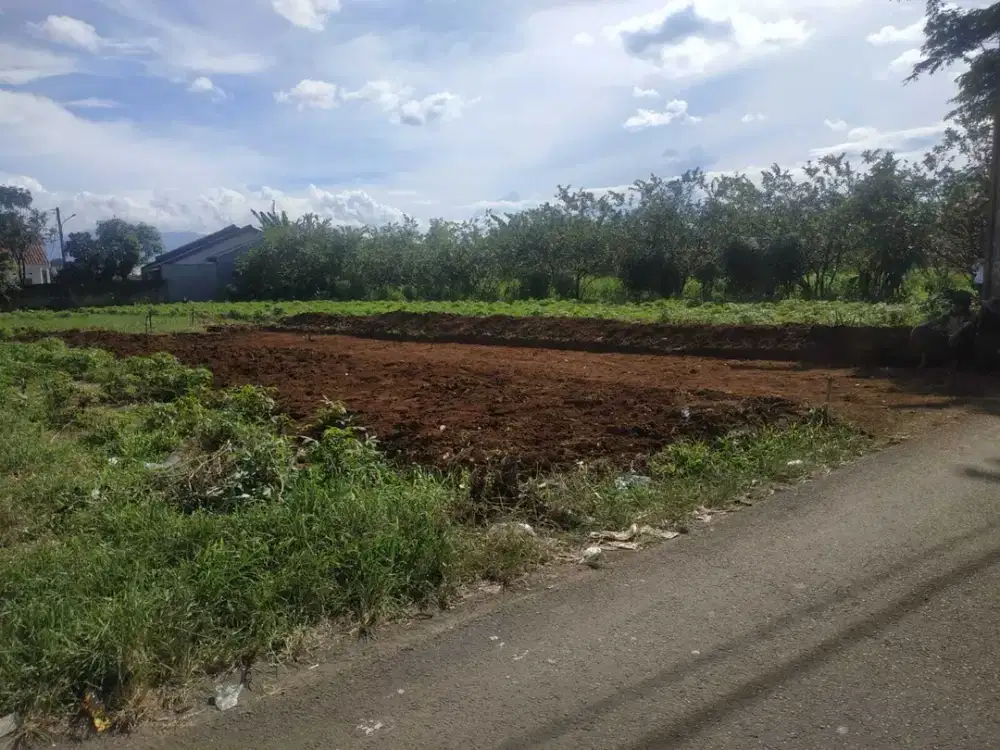 Lokasi Kayu manis: Dekat Terminal Laladon, Dijual Kavling Murah