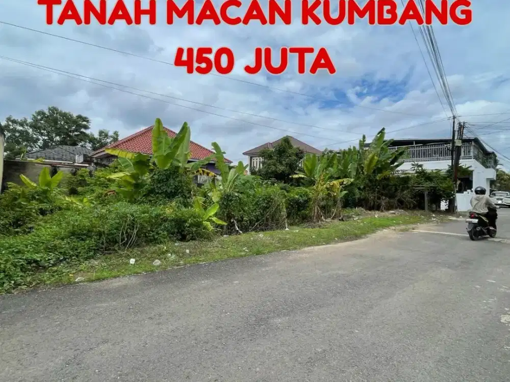 JUAL CEPAT TANAH MACAN KUMBANG PALEMBANG
