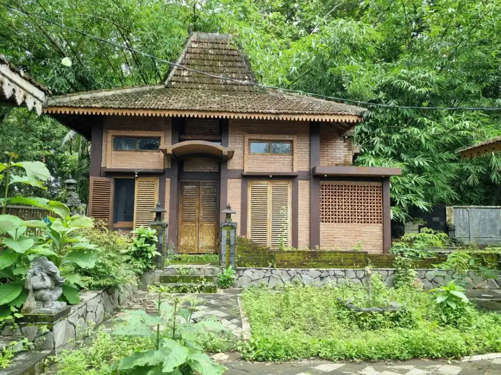 DIJUAL RUMAH BESAR TANAH LUAS HARGA MURAH DI MINGGIR