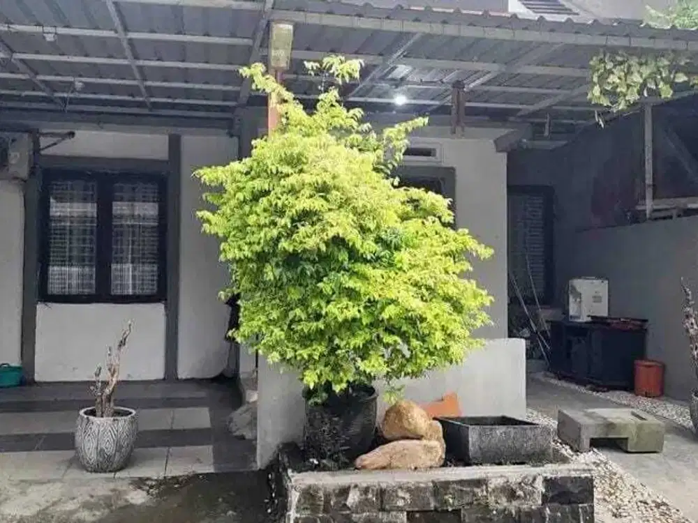 Dijual Rumah Siap Huni Lokasi Perum. Medaeng Sidoarjo Dekat Bungurasih