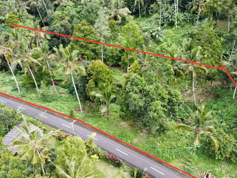 Tanah Langka Tabanan Selemadeg