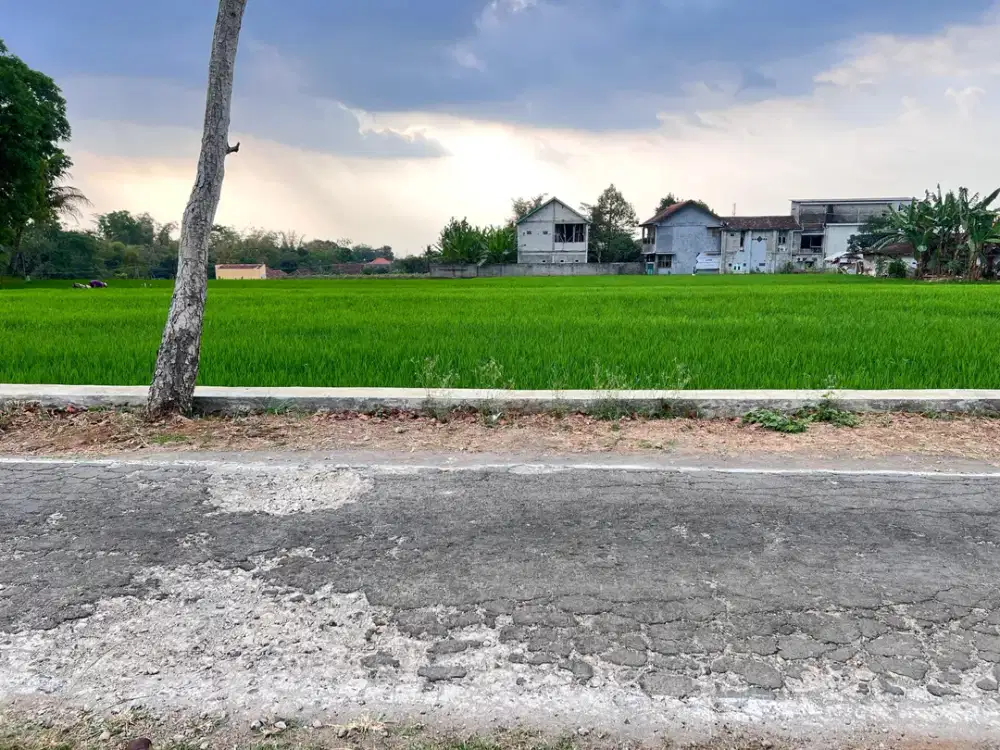 Dijual Sawah Datar 232 Juta Strategis Karanganyar