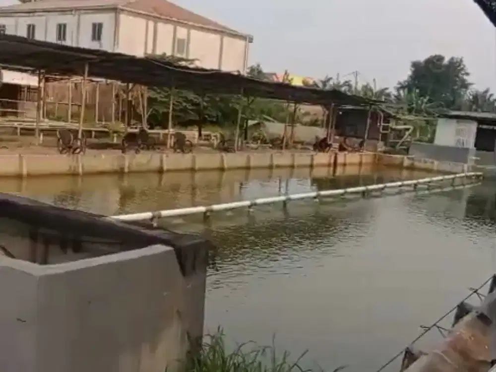 Tanah  Ada  Kontrakan Pemancingan Cocok Untuk Usaha
