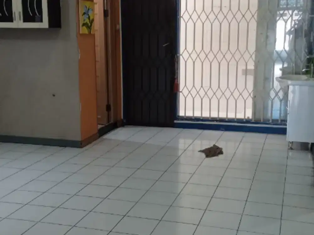 rumah citra 5 2 kamar +1 terbaru sudah rapi