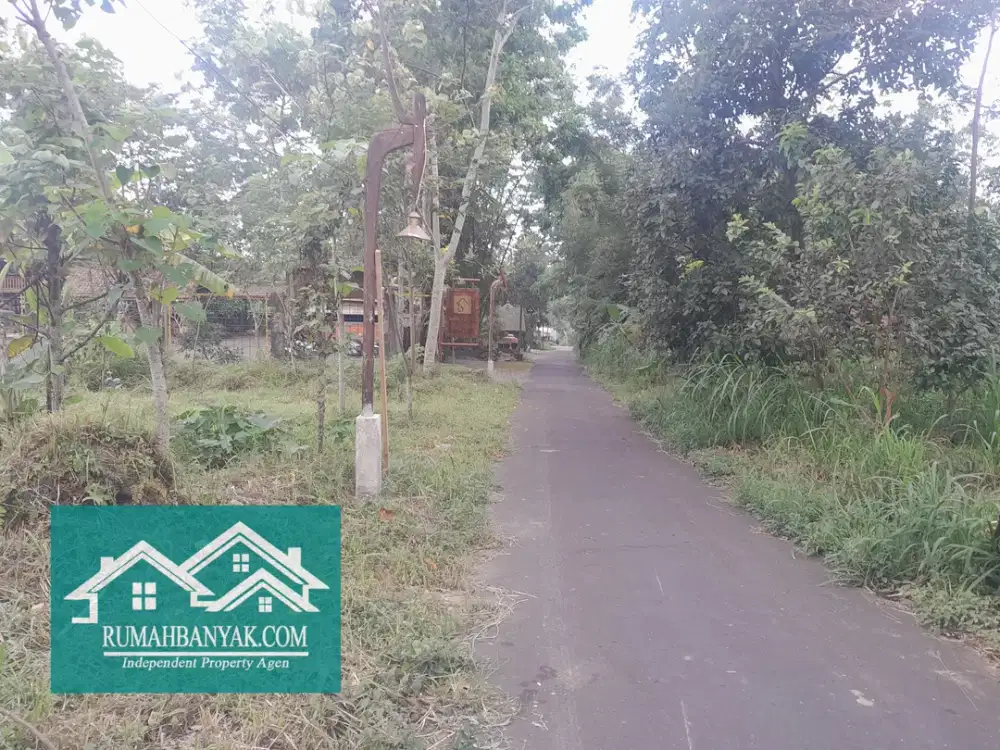 Jual Tanah Pekarangan Murah Cangkringan, 500 ribuan – Alam Pegunungan