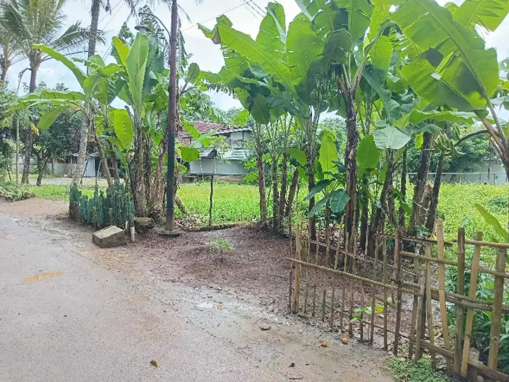 jual tanah pinggir jalan kampung aspal belakang Polda Banten
