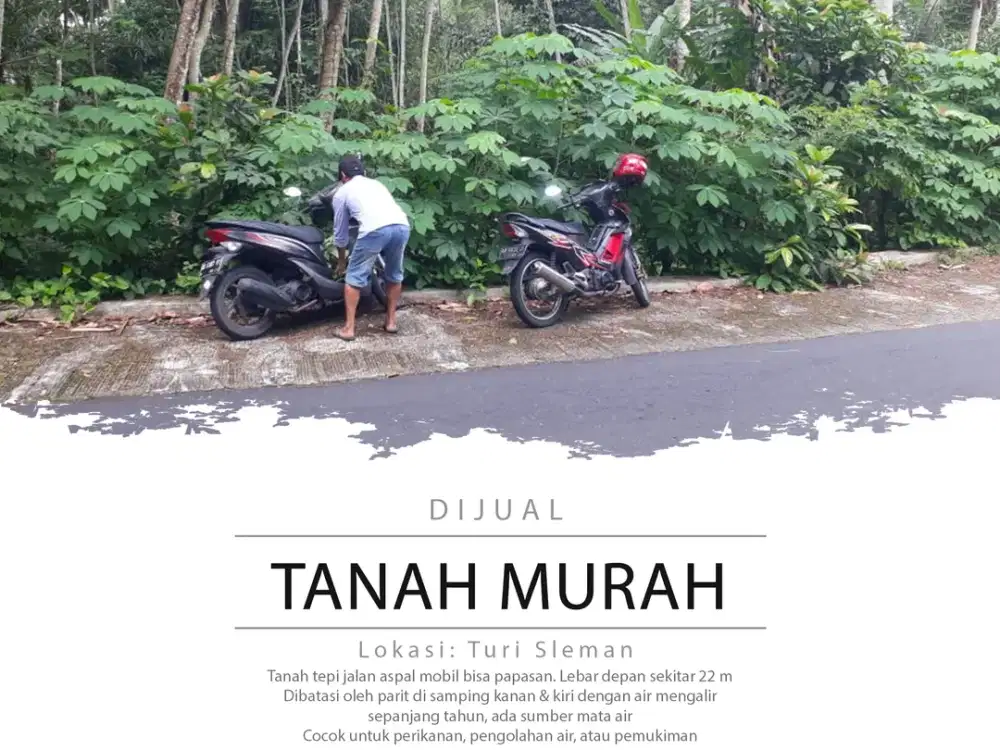 Dijual Tanah Murah Di Turi; Tepi Jalan Aspal & Ada Mata Air, 800 Ribua