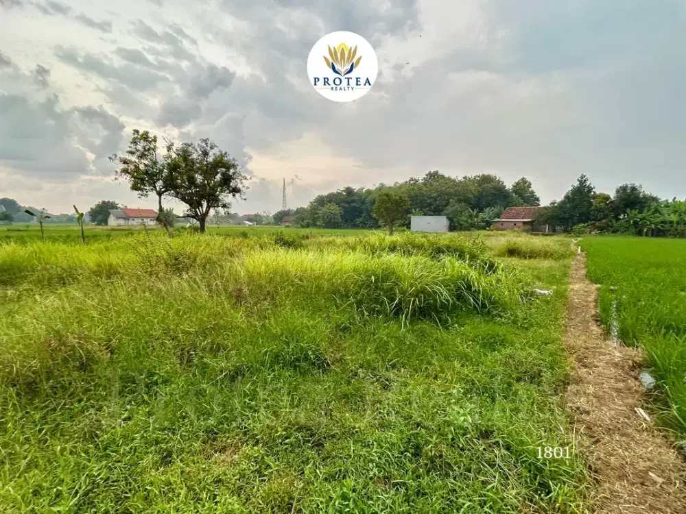Dijual Tanah Bekas Sawah di Kedawung Cirebon