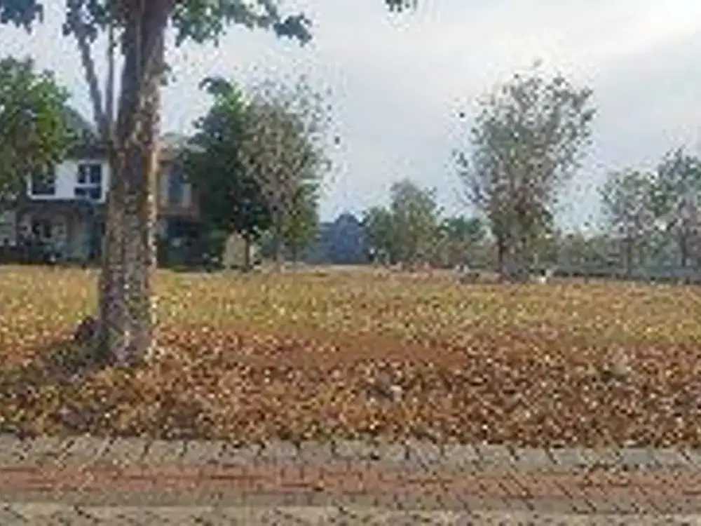 Tanah kavling Canberra grand Pakuwon
