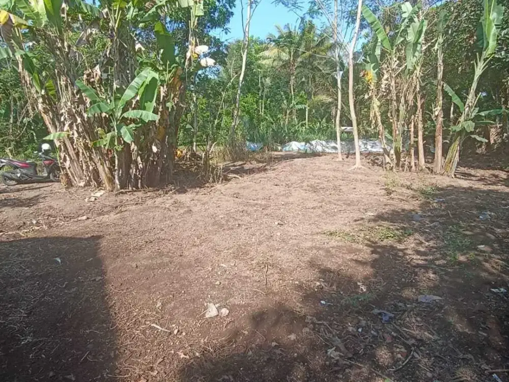 Tanah Super Murah Di Turi 370 jt, Pemilik Butuh Uang (BU)