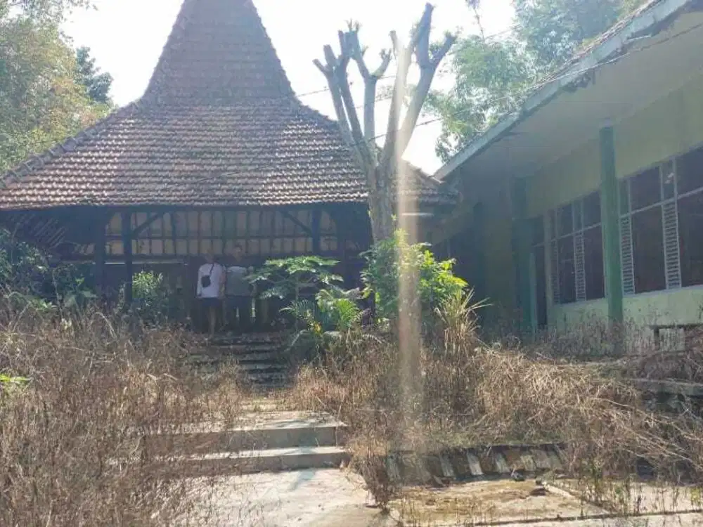 Jual Rumah Pendopo Hitung Tanah Cocok Utk Gudang MALANG - JATIM