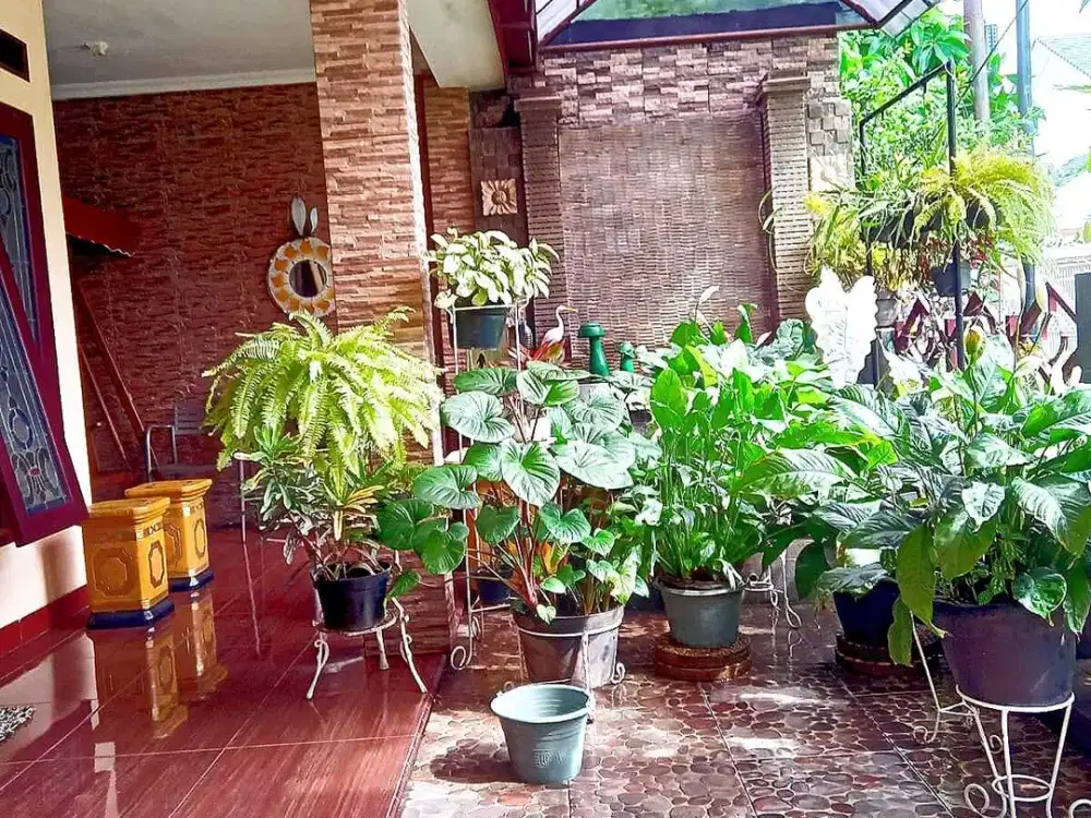 RUMAH HOMIE DI BINTARO SEKTOR 3 ASRI CAMAR MANDAR PINGUIN KESEHATAN