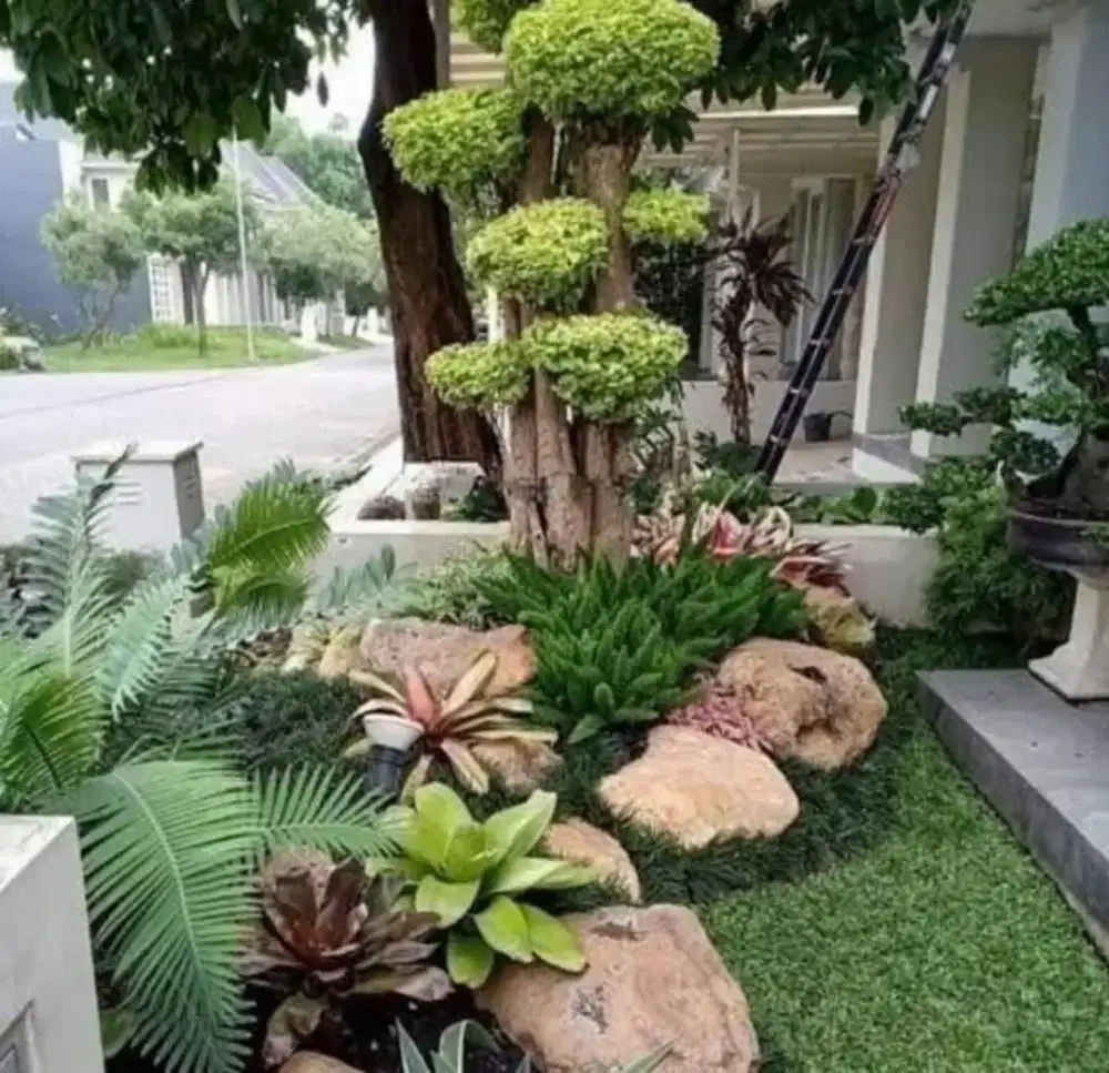 Tukang taman balikpapan