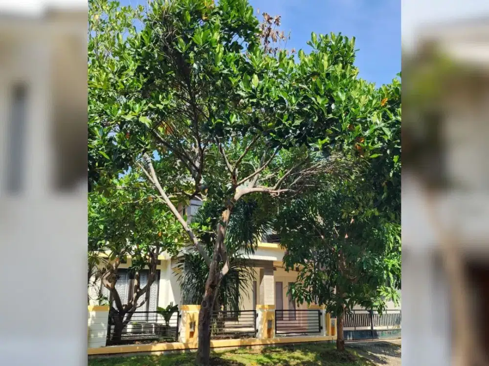 Rumah Bagus Gedangan di Puri Surya Jaya Siap Huni Sidoarjo