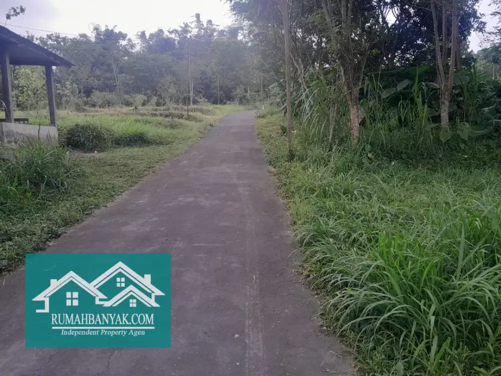 Tanah Murah Di Cangkringan Cocok Untuk Villa, Suasana Sejuk & Tenang