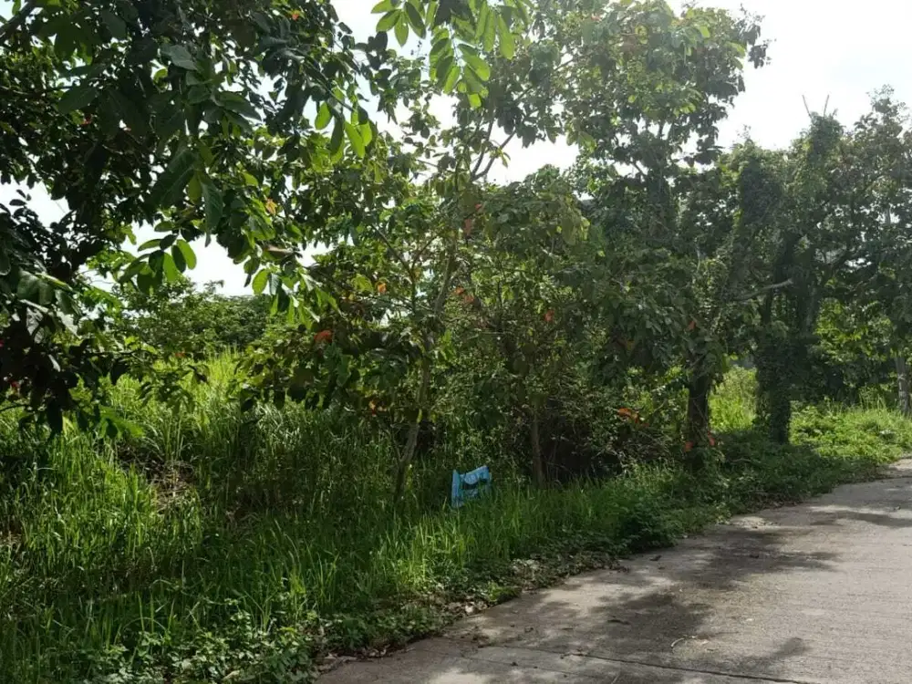 DiJual Cepat Tanah Strategis Di Cluster Simpruk Lippo Cikarang