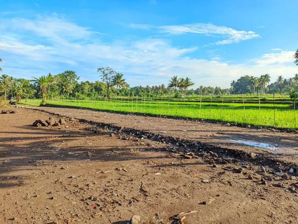Tanah Jogja SHM 2 Jtan View Sawah Dekat Perum GTA
