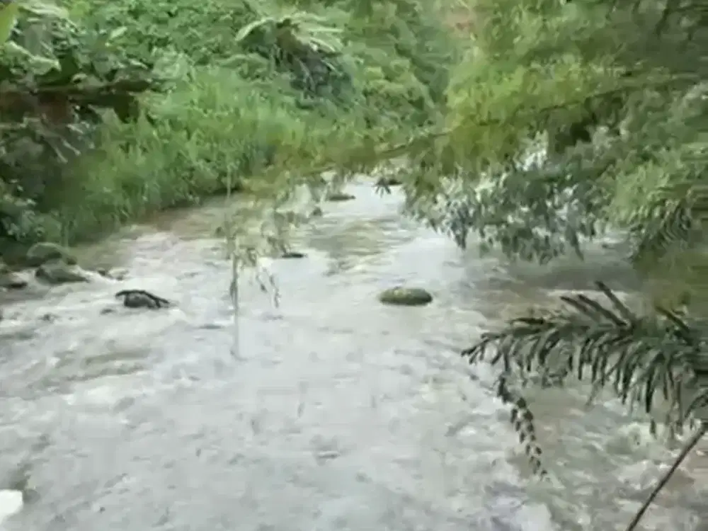 Tanah Murah di Semana Langsung Sungai Ayung