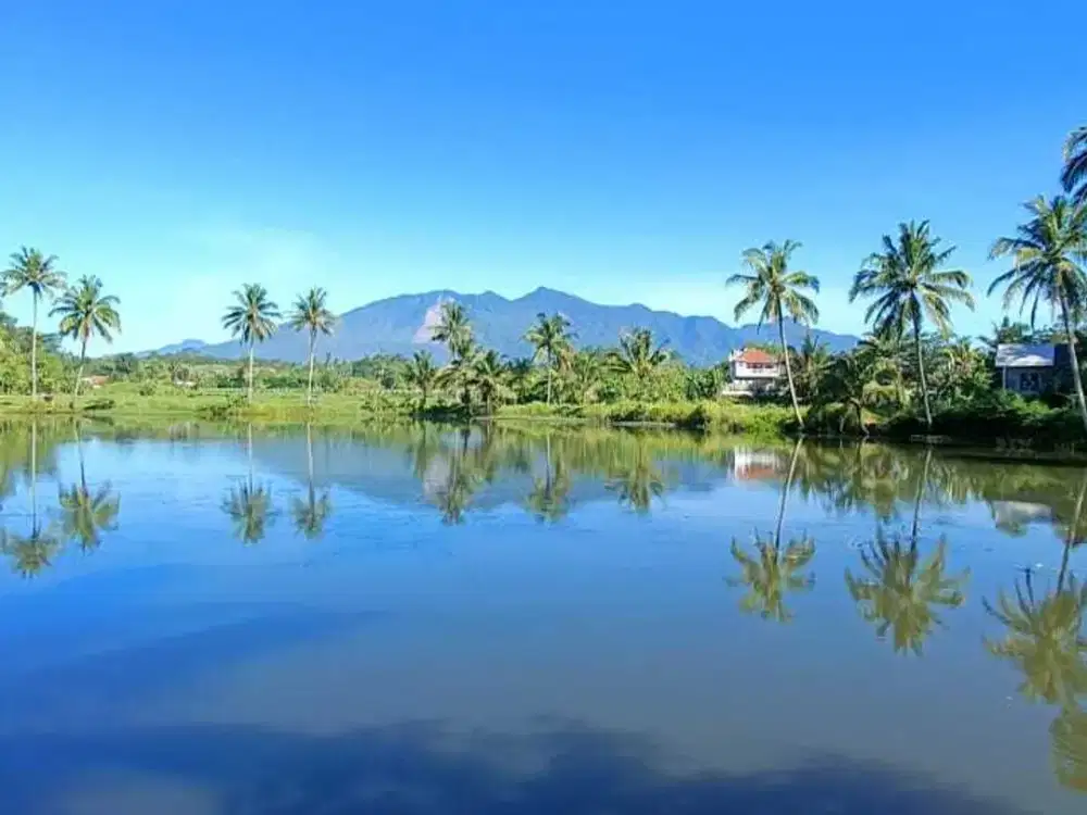 TANAH DAN KOLAM SITUSARI, TASIKMALAYA