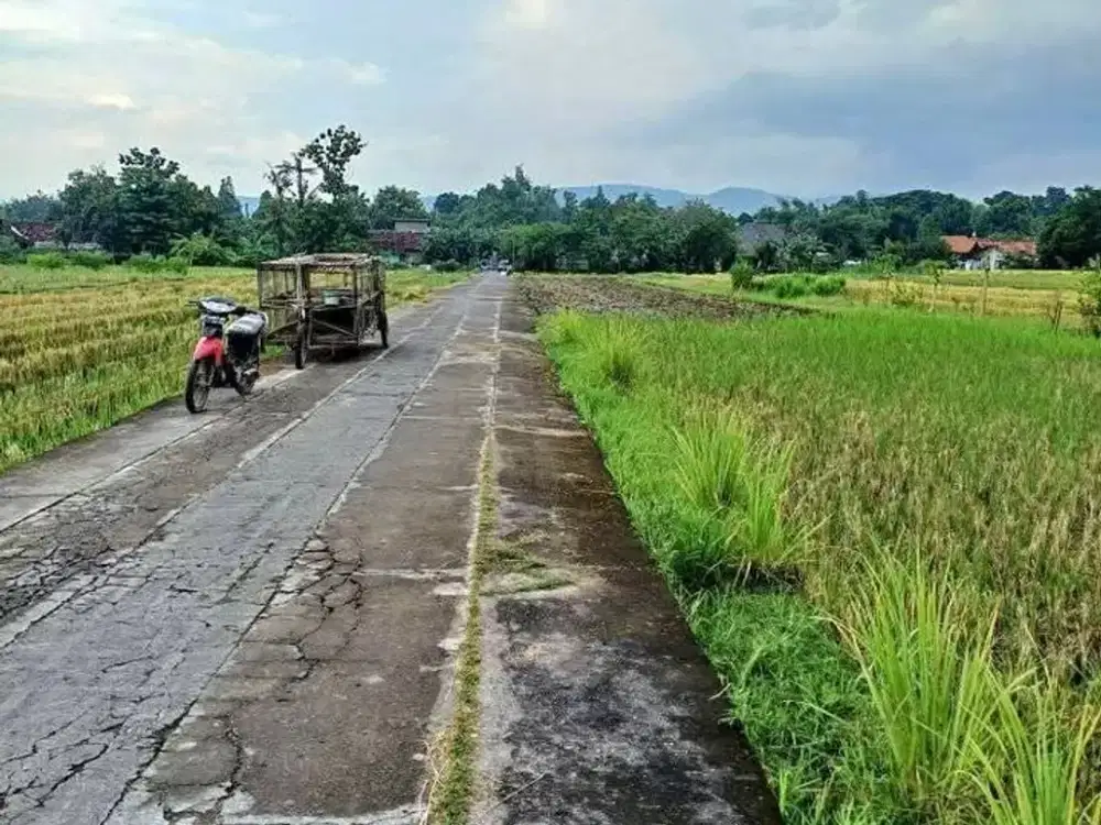 MURAH TANAH SAWAH DEKAT JALAN MANDING - IMOGIRI JETIS BANTUL JK13131