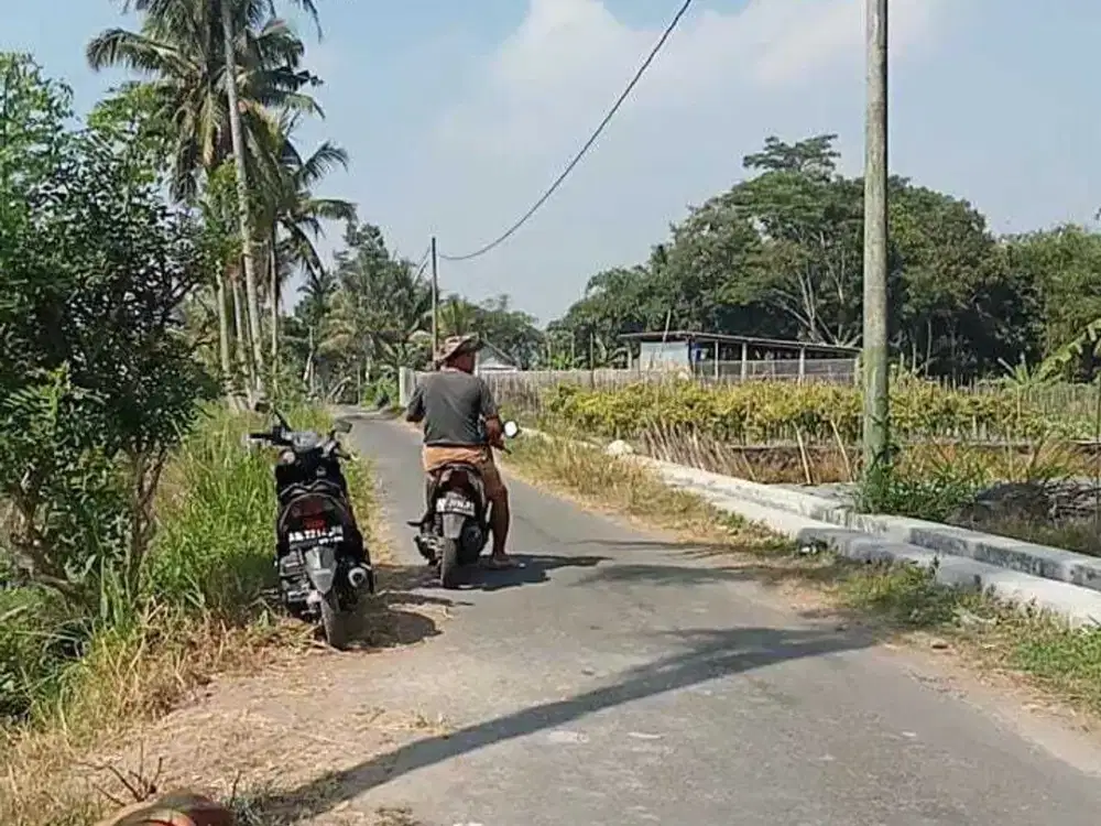 MURAH TANAH SAWAH CANGKRINGAN KAWASANG LINGKUNGAN BERKEMBANG JK13130