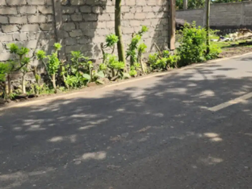 Tanah 15 Are di Balangan Jimbaran