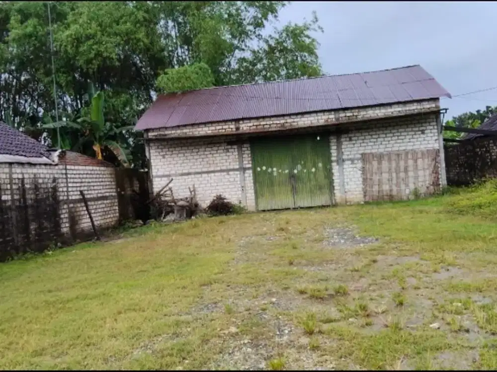 Rumah Kelurahan Ngadiluhur Kec Balen Kab Bojonegoro