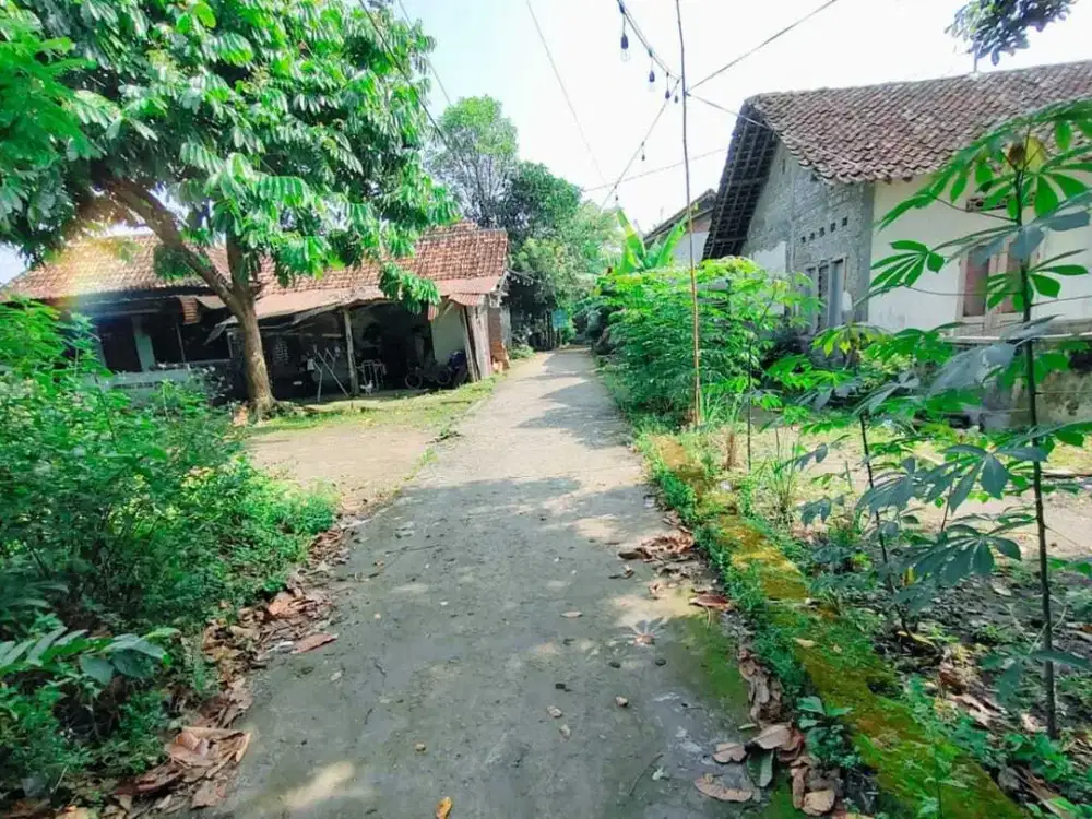 DIJUAL TANAH PEKARANGAN 299JT DEKAT TERMINAL GIWANGAN.JK13299