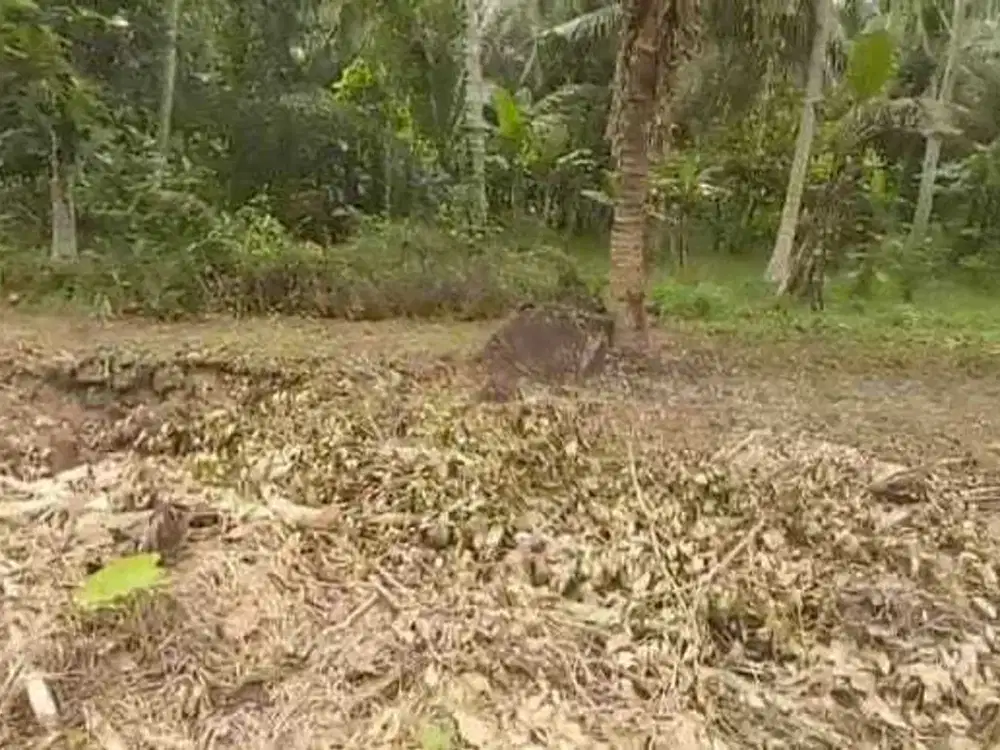 DIJUAL TANAH KAVLING MULAI  45 JUTA LOKASI LENDAH KULON PROGO.JK13297