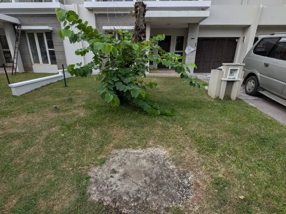 Dijual Cluster Elysia II no 7/9/11 Suvarna Sutera