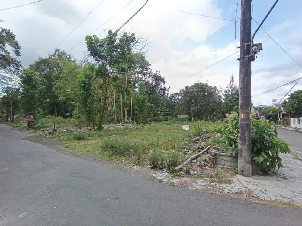 Kesempatan Langka! Tanah Pekarangan di Sleman Harga 3 Juta/M²