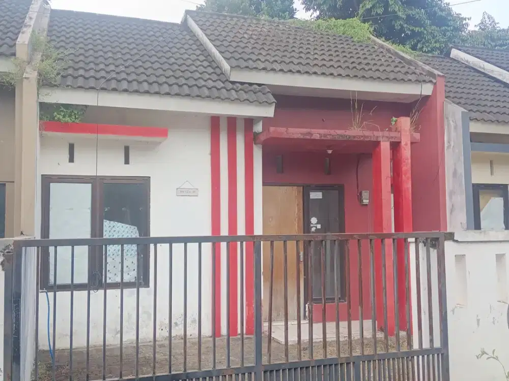 Kontrakan murah dekat kampus