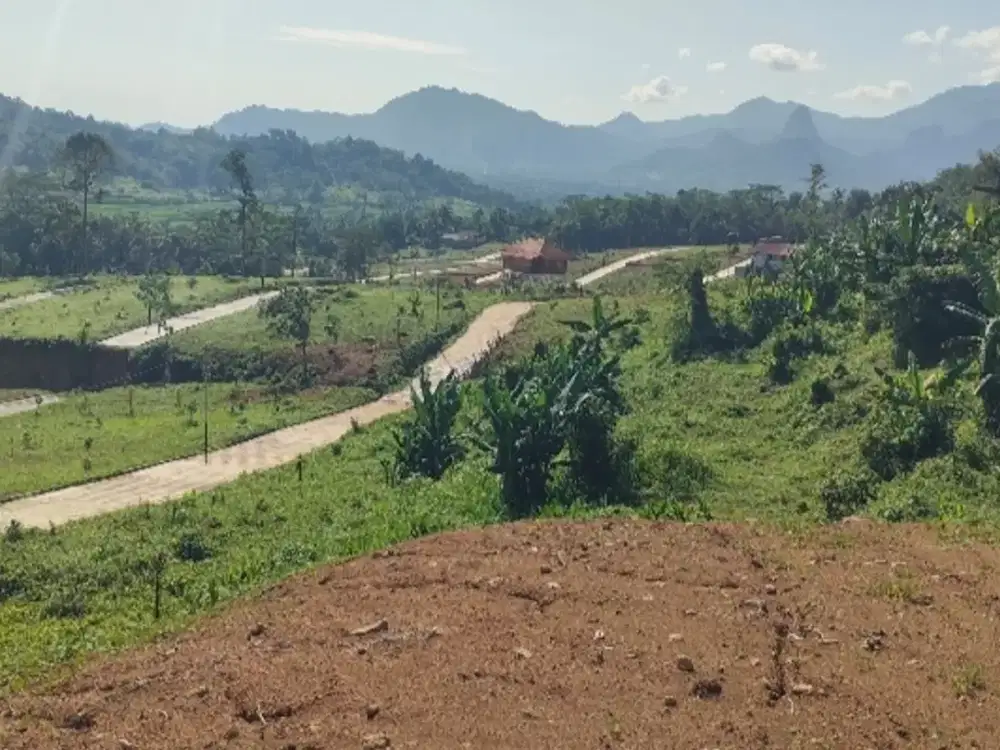 Mulai 390rban per M, anda bisa mendapatkan tanah kavling wisata Bogor