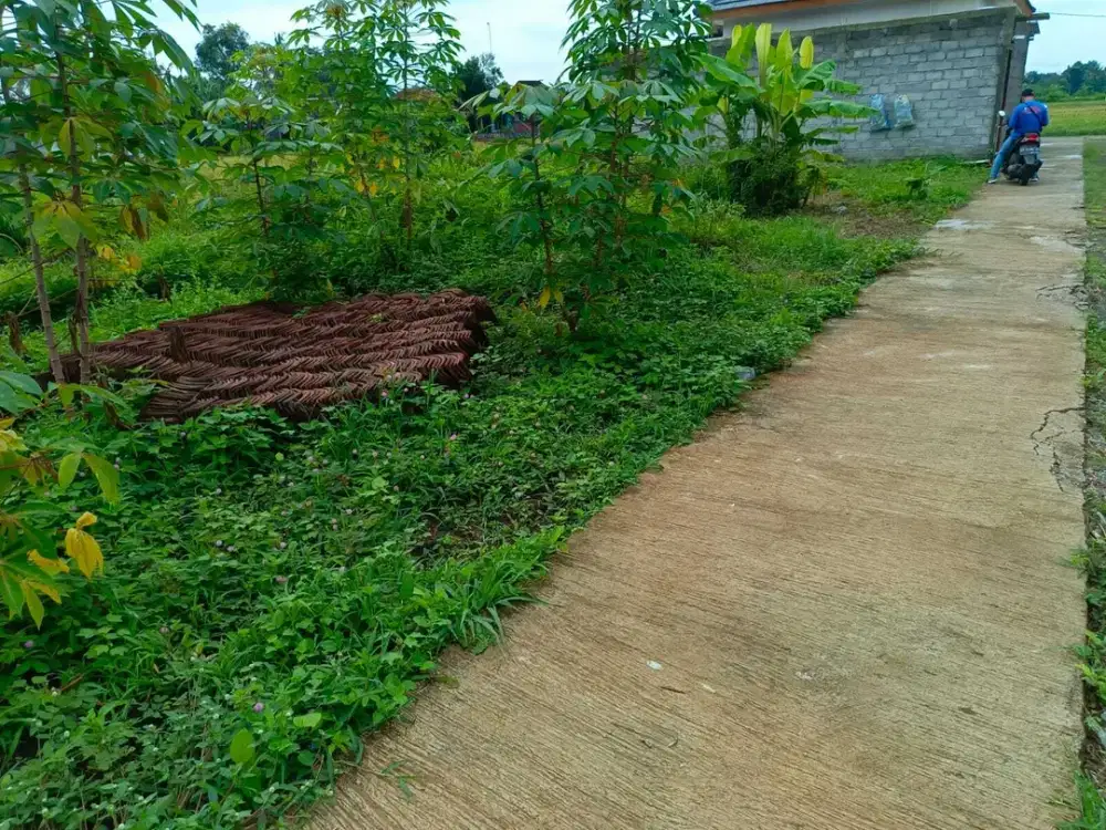 DIJUAL TANAH KAVLING DI BANTUL DEKAT RS UII JALAN SAMAS PANDAK JK13139