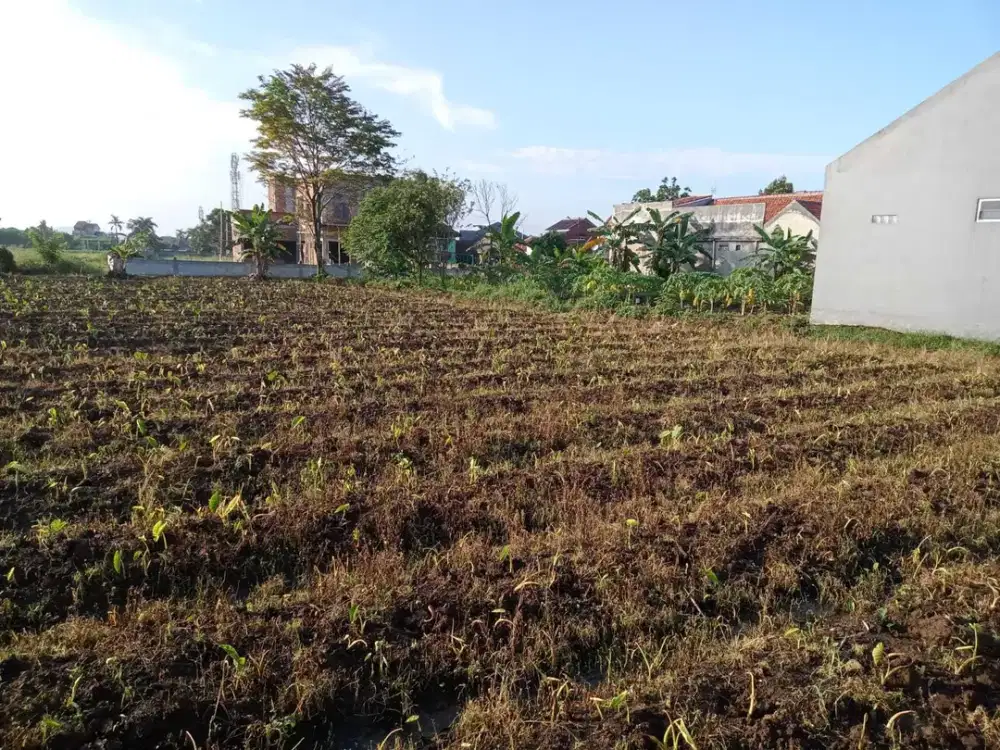 Tanah Kavling Dramaga, Harga Perdana & Unit Terbatas!