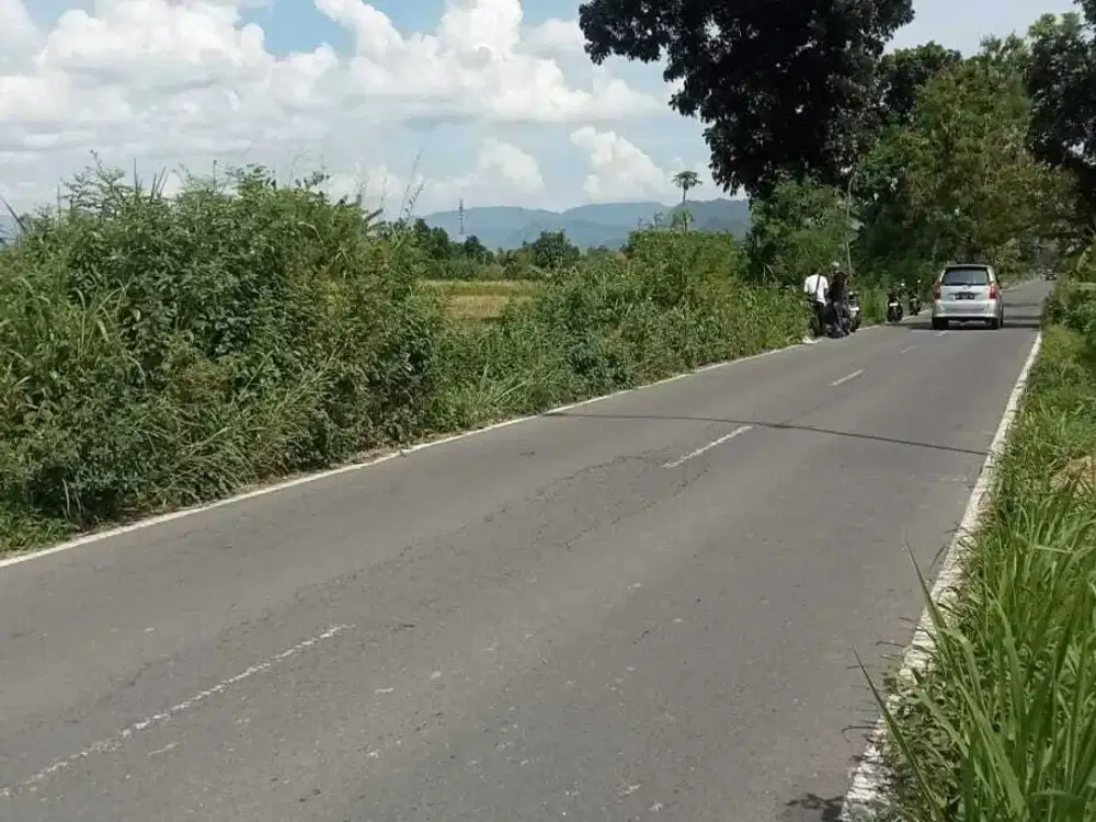 MURAH INVESTASI TANAH SAWAH 900.000/M DEKAT JL RAYA PRAMBANAN.JK13310