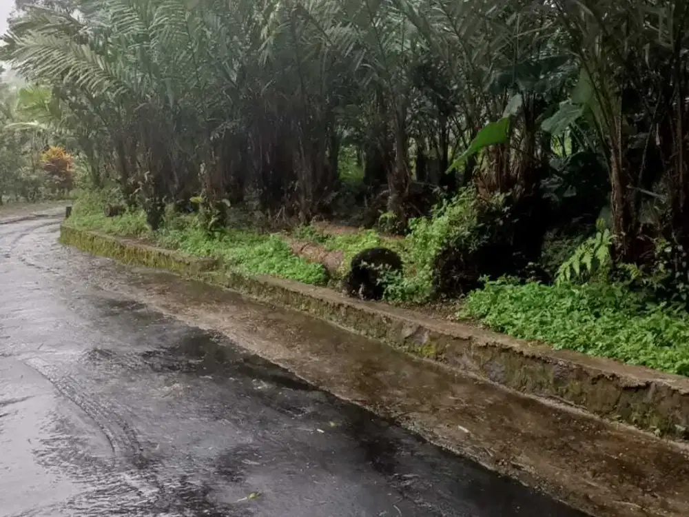 DIJUAL TANAH PEKARANGAN 450/M NEGO DEKAT BAMBOOLAND TURI.JK13300