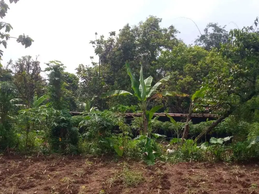 Dijual Tanah Murah Cocok Untuk Villa Dekat Curug Nangka Free SHM
