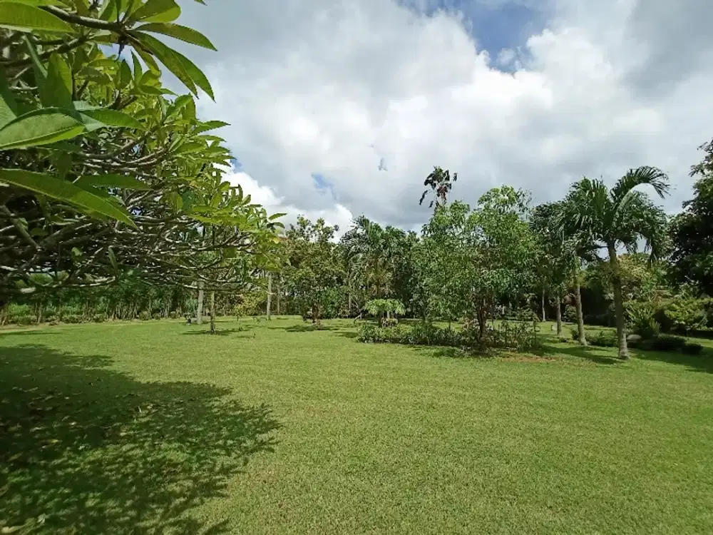 Villa taman Luas Pering Gianyar Bali