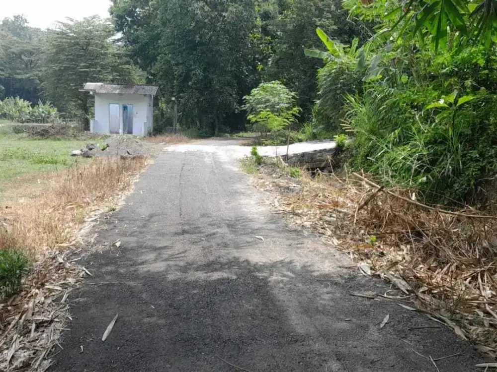 MURAH TANAH PEKARANGAN 90JT DEKAT JATP KULON PROGO.JK13308